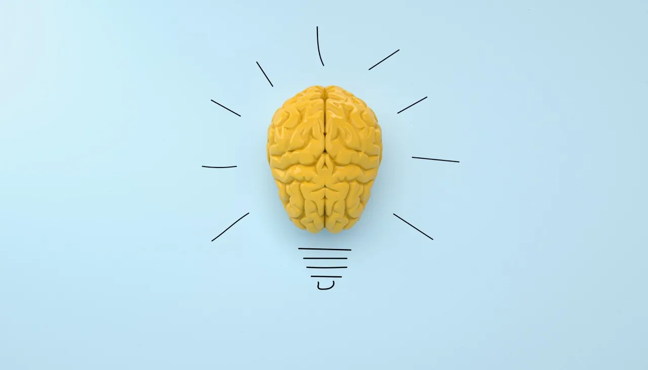 Implementing an ERP: How to make it the central nervous system of your SME?